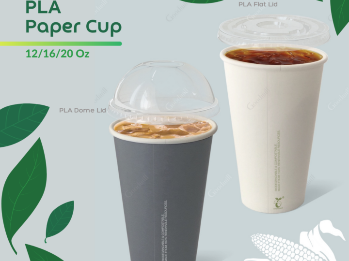 PLA Paper Cup + PLA Clear Lid