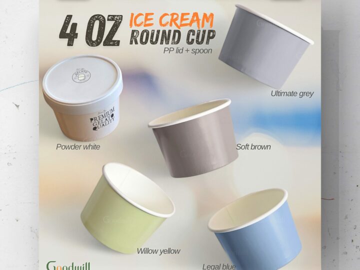 Icecream Paper Cup w/ PP Lid & Spoon